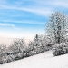 Blick auf dem Fuchsturm