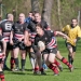Rugby Jena vs Berliner RC II 