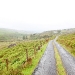 Unterwegs auf Inishowen